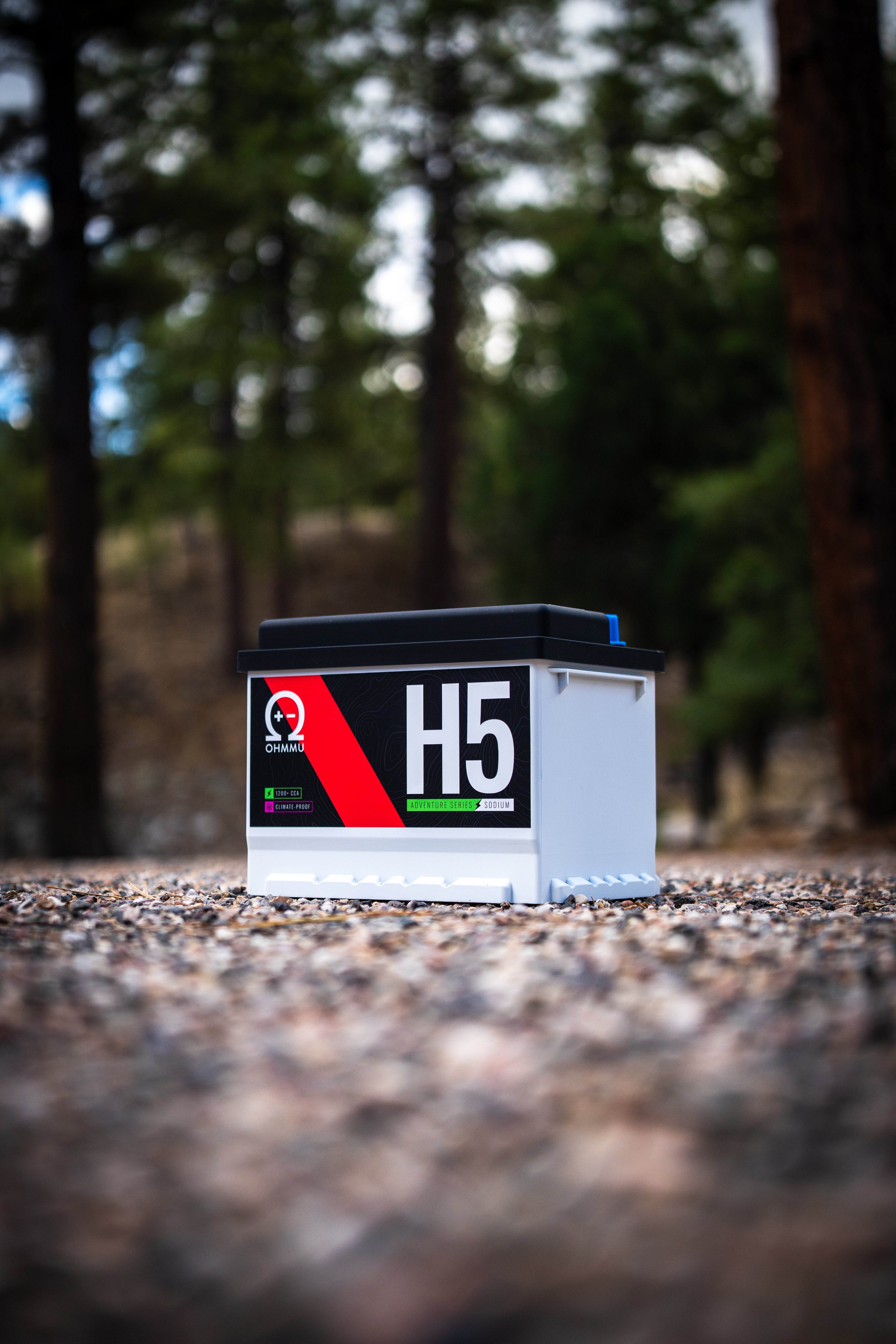 H5/Group 24F - Sodium 12V Battery