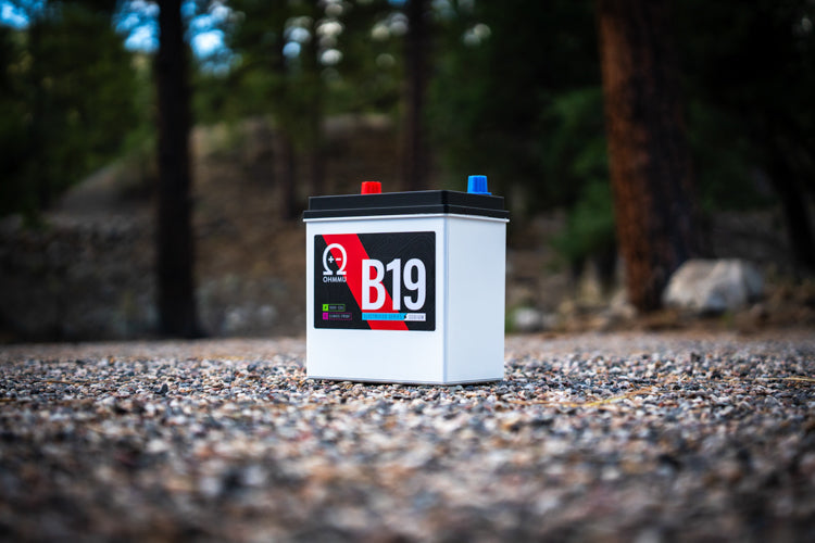 B19 - Sodium 12V Battery for Toyota Prius