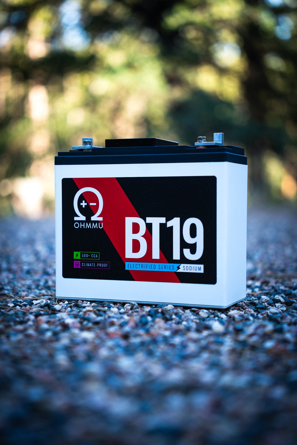 BT19 - Sodium 12V Battery Compatible with Rivian R1 S/T