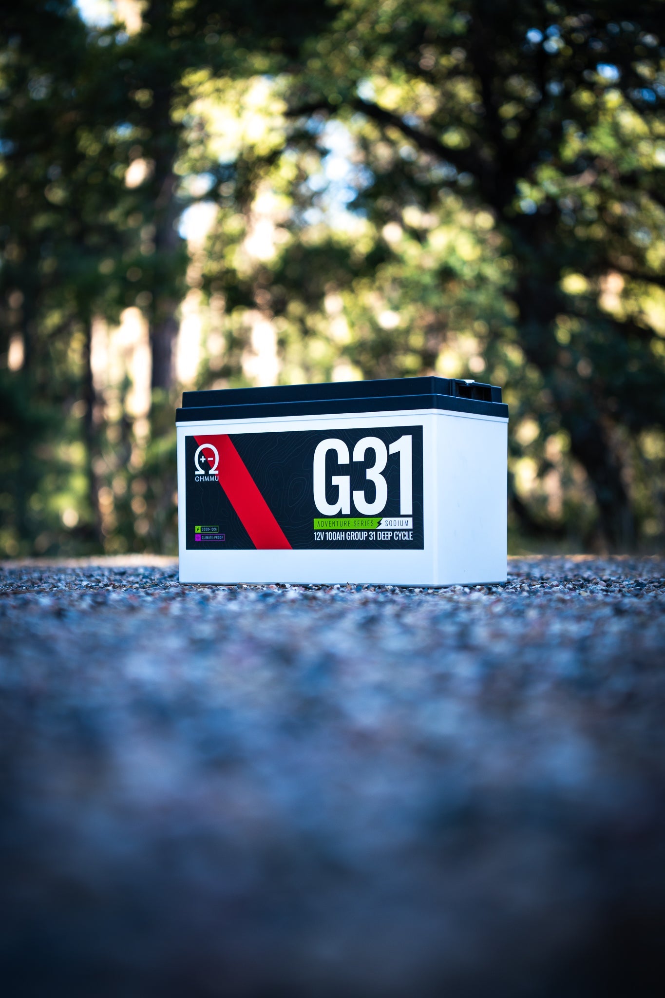 Group 31 - 100Ah Sodium 12V Dual Purpose Deep Cycle Battery