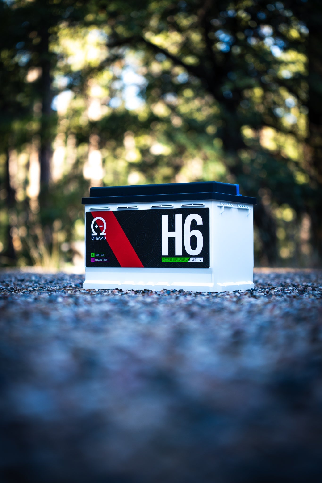 H6/Group 48 - Sodium 12V Battery